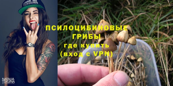 дмт Абдулино